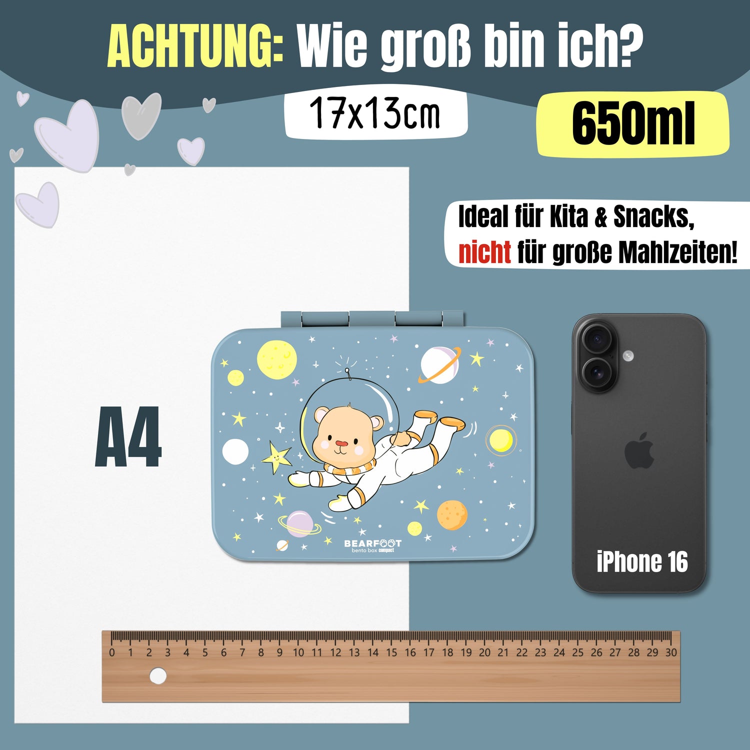 Brotdose mit Fächern, leicht &amp; auslaufsicher - Bär blau
