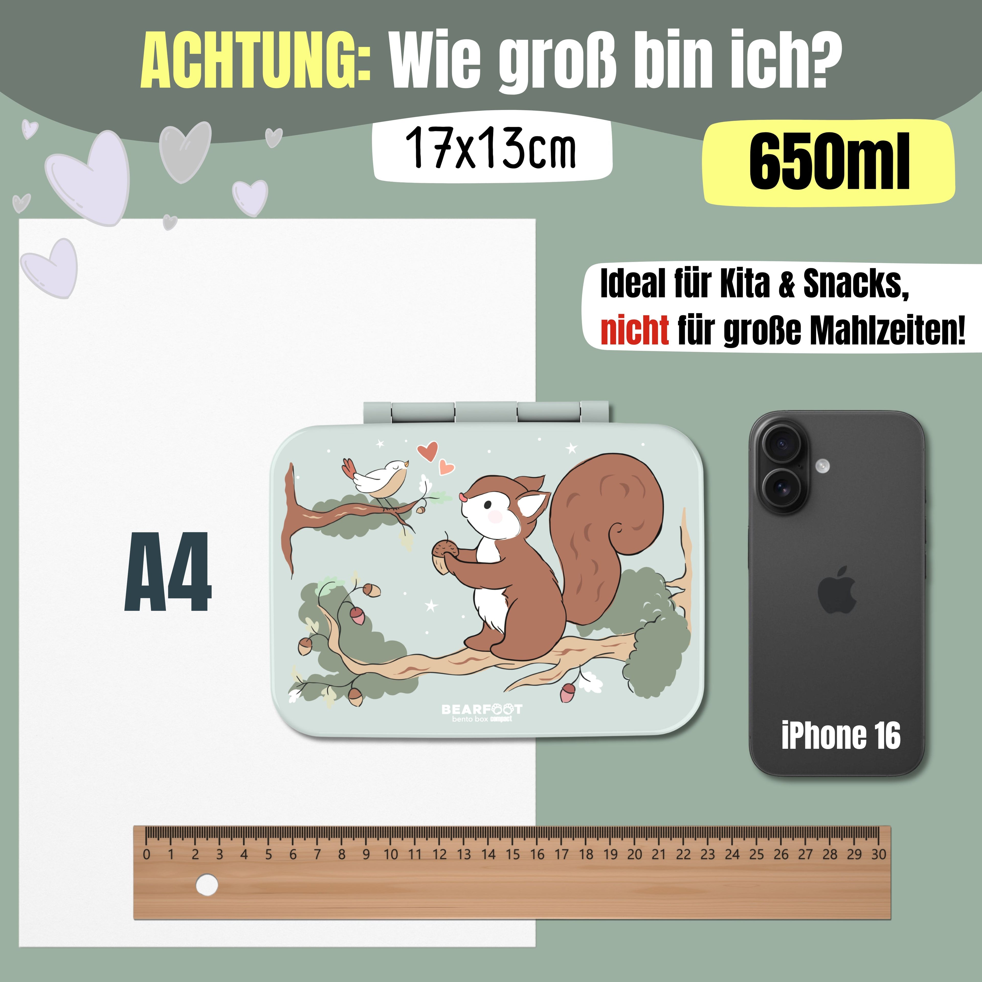 Brotdose mit Fächern, leicht - Eichhörnchen Salbei
