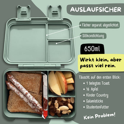 Brotdose mit Fächern, leicht &amp; auslaufsicher - Koala Salbei